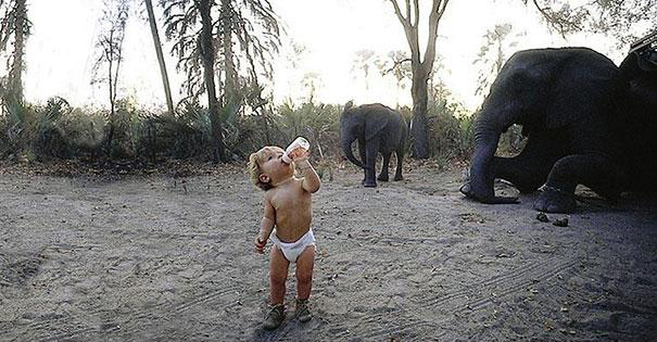 real-life-mowgli-tippi-degre-african-wildlife-15