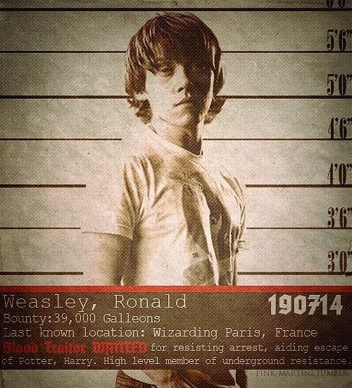 harry_potter_posters_3
