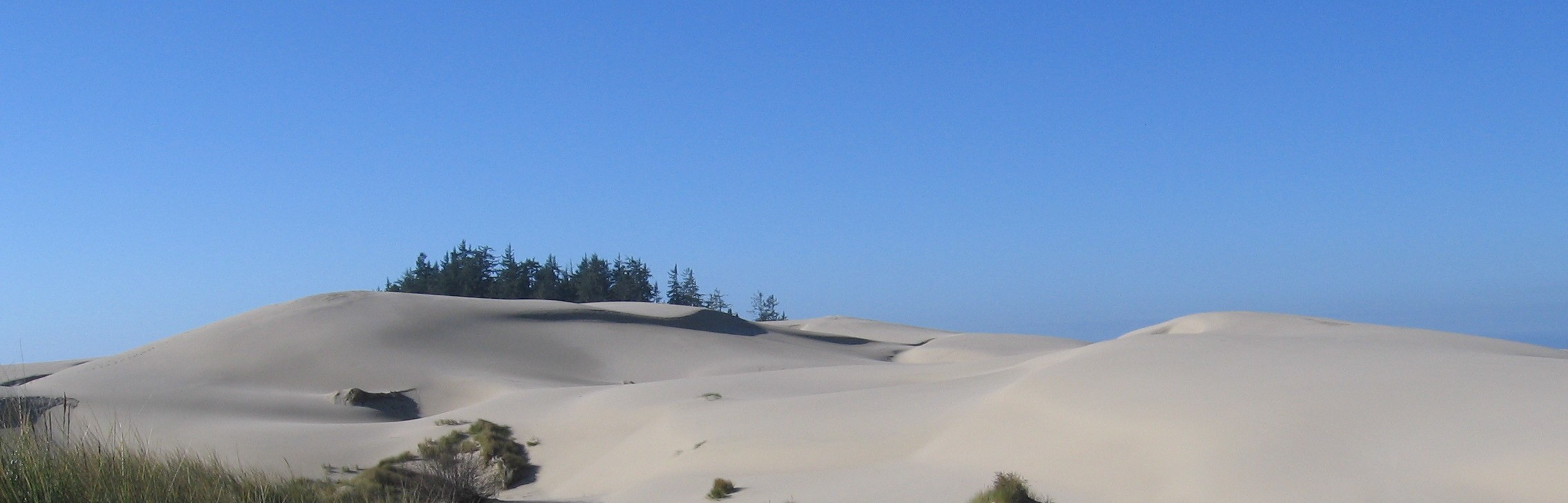oregon dunes