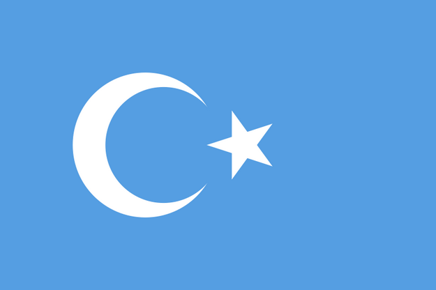 national-flag-of-east-turkestan