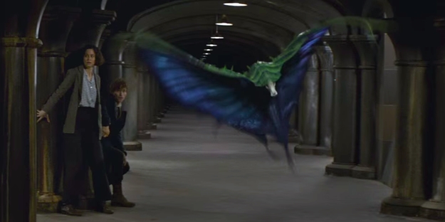these-2-magical-creatures-will-be-featured-in-the-new-harry-potter-prequel
