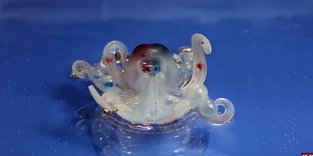 designed-by-harvard-researchers-the-octobot-is-the-first-fully-soft-autonomous-robot