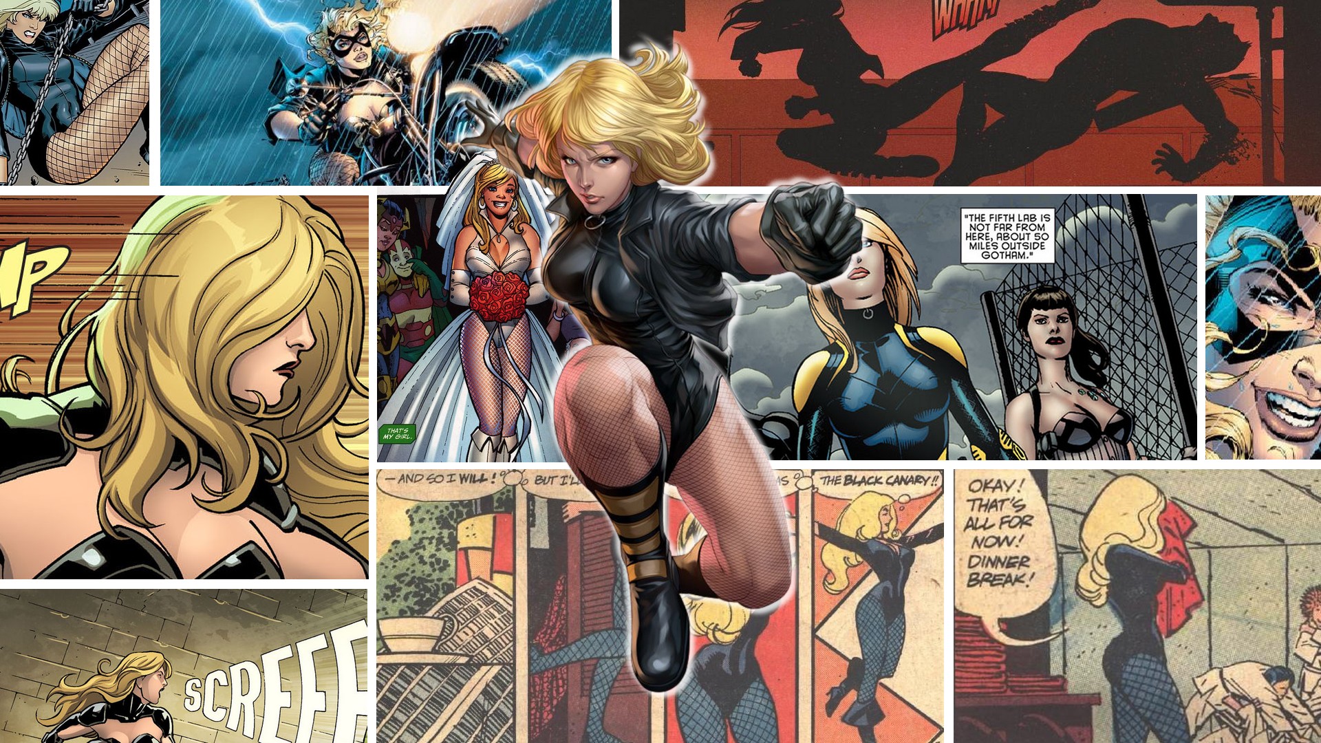 Black canary vs black widow