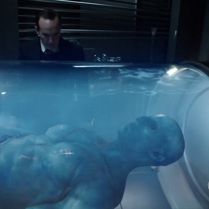 Agents of SHIELD S02E07 - Inhumans Teorilerini Coşturma ...