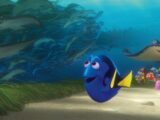 FINDING DORY İnceleme – PIXAR’ın Yeni Animasyonundan, Ne Ummuştuk Biz?