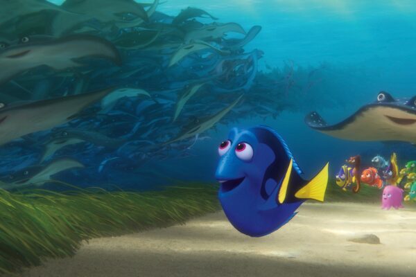 Finding Dory