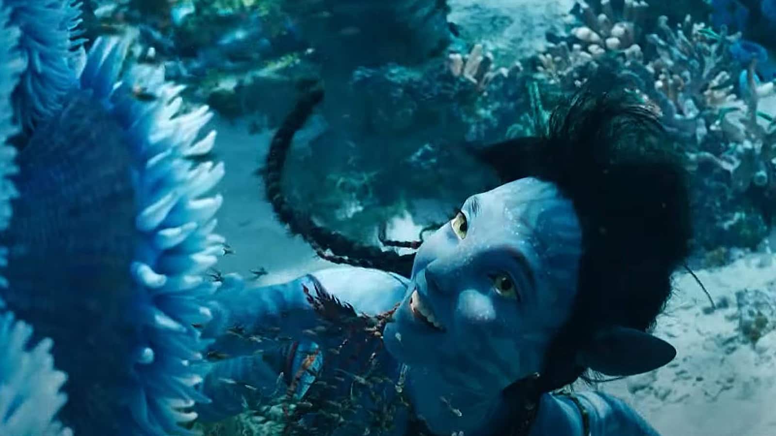 Avatar Way of The Water