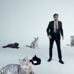 Andrew Bird Make a Picture