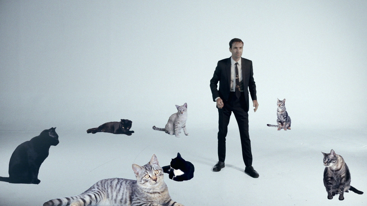 Andrew Bird Make a Picture