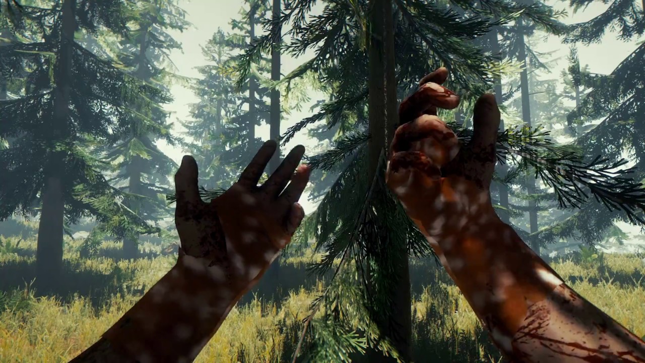 the forest