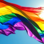 onur ayı yazıları