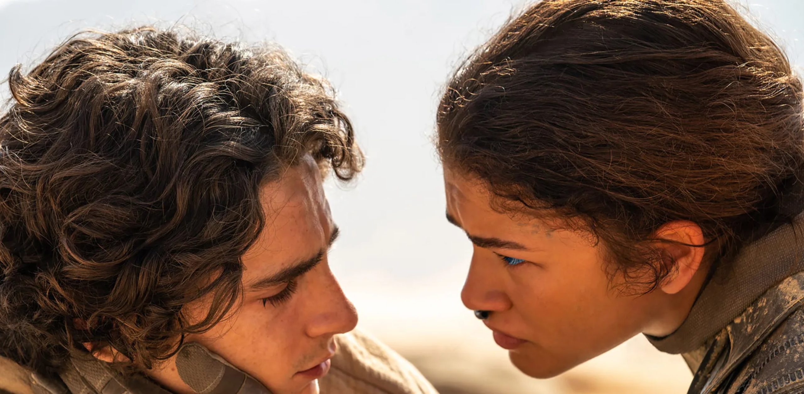 dune warner bros. timothee chalamet
