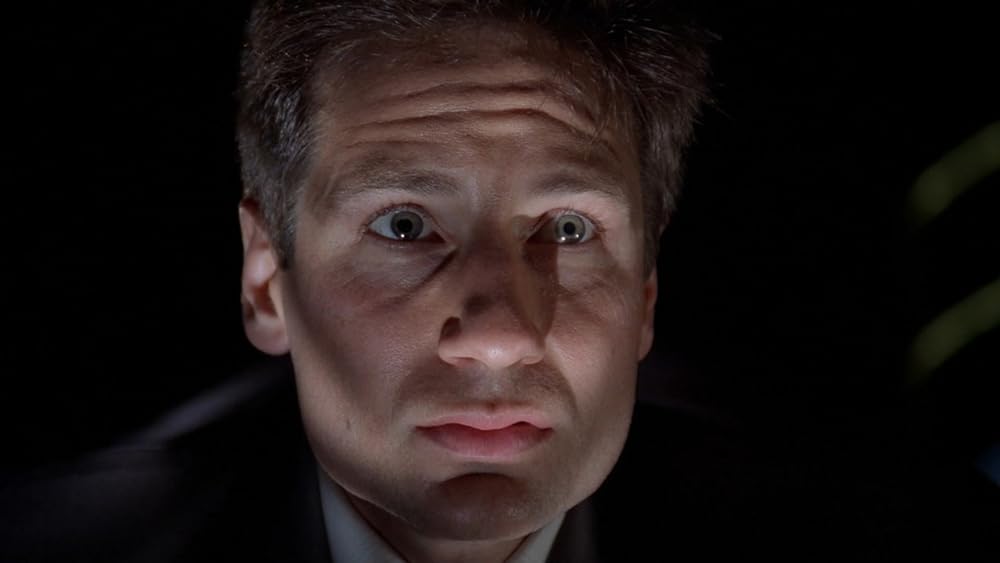 X-Files dizisinden The Host adlı bölümden Flukeman canavarını görünce öylece bakakalan Fox Mulder karakteri.