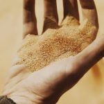 Dune Part 1 filminden bir baharat görseli.