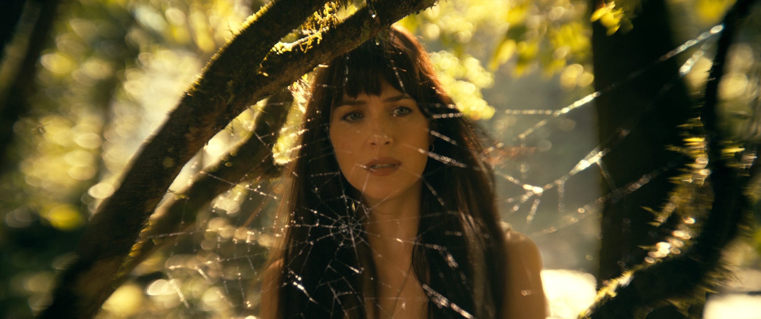 madame web dakota johnson spumc