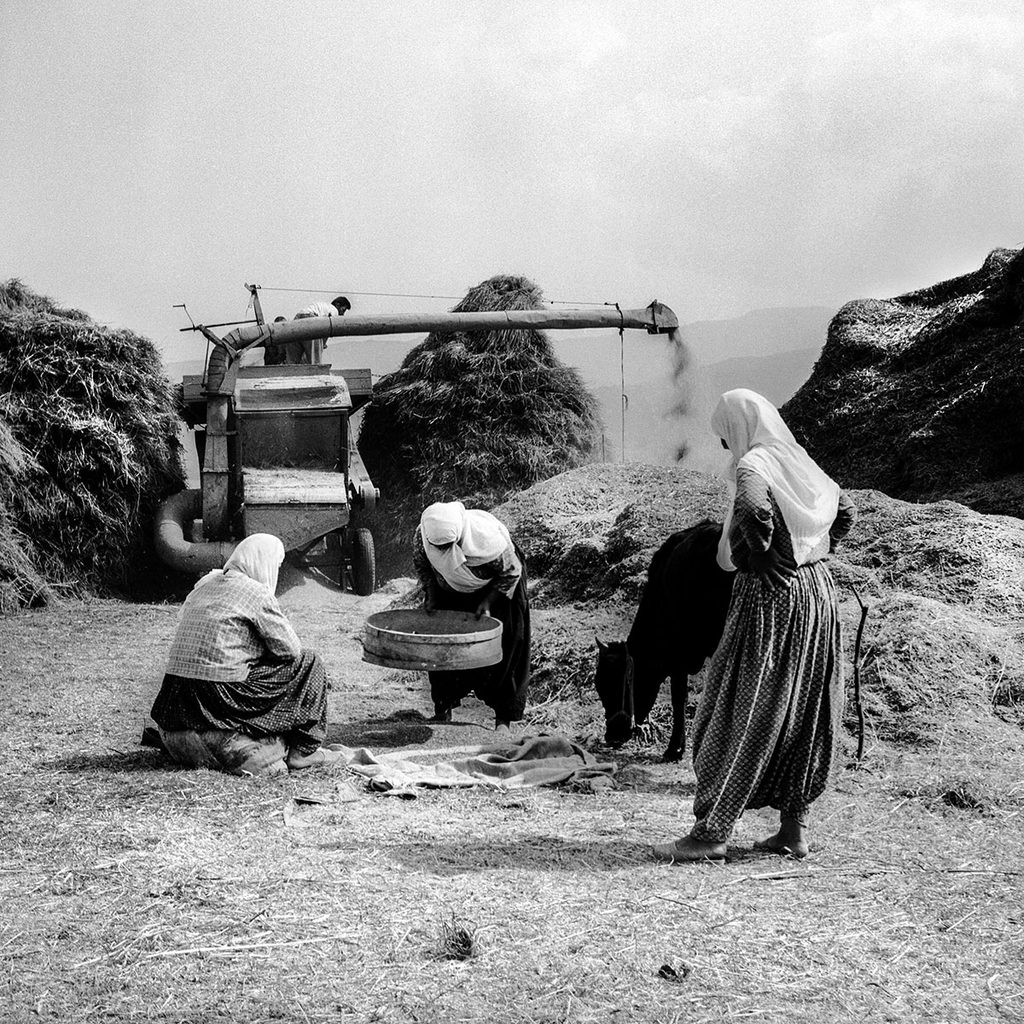 Feruz Ertürer'in analog kamerasıyla çektiği "Harman Yeri", 1958